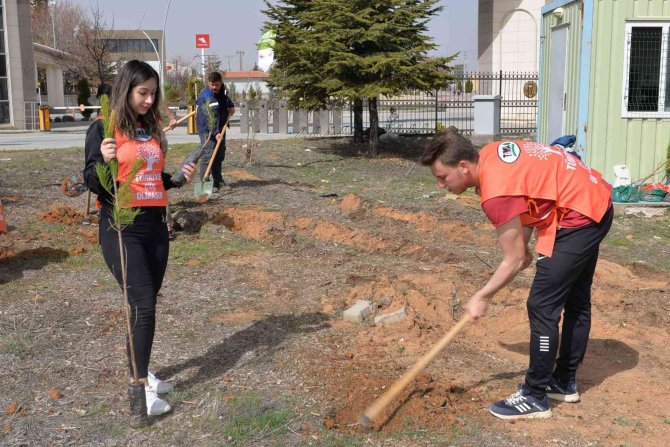 Kmü’lü Öğrenciler Fidan Dikti