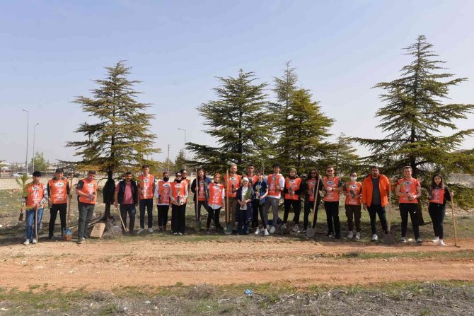 Kmü’lü Öğrenciler Fidan Dikti