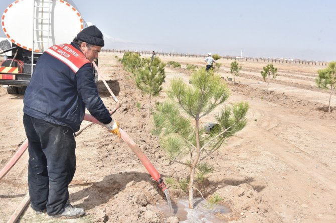 Karatay’da Ağaçlandırma Çalışmaları Sürüyor