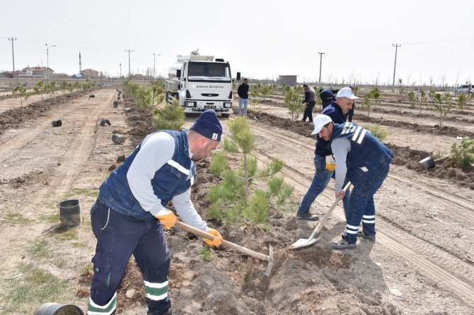 Karatay’da Ağaçlandırma Çalışmaları Sürüyor