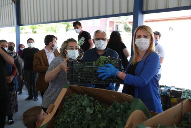 Merkezefendi’de Son 2 Yılda 660 Ton Sağlıklı Ve Doğal Sebze Üretildi