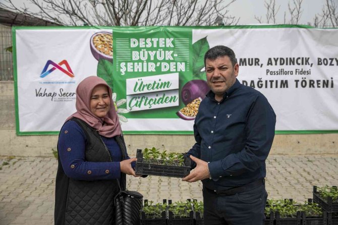 Mersin’de Üreticiye ’Passiflora Fidesi’ Desteği