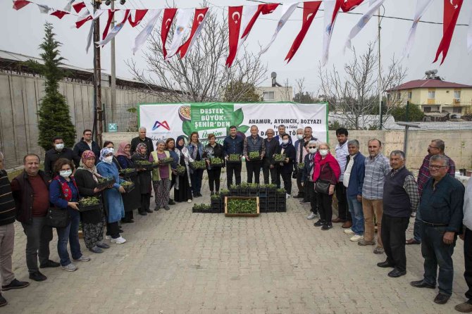 Mersin’de Üreticiye ’Passiflora Fidesi’ Desteği
