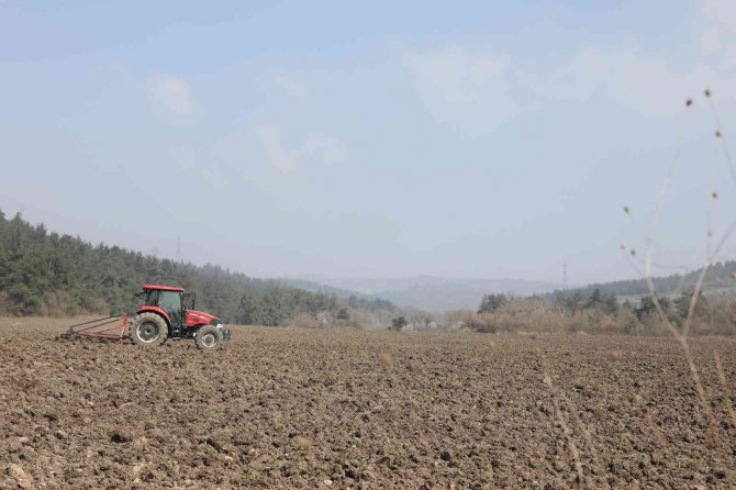 Mudanya Belediyesi Ayçiçek Tohumlarını Toprakla Buluşturdu