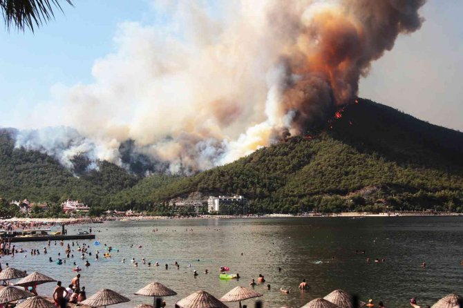 Yangınların Sosyo-ekonomik Etkileri Projesi Wwf Raporunda
