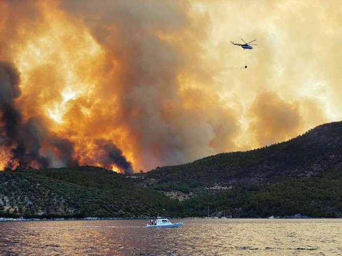 Yangınların Sosyo-ekonomik Etkileri Projesi Wwf Raporunda