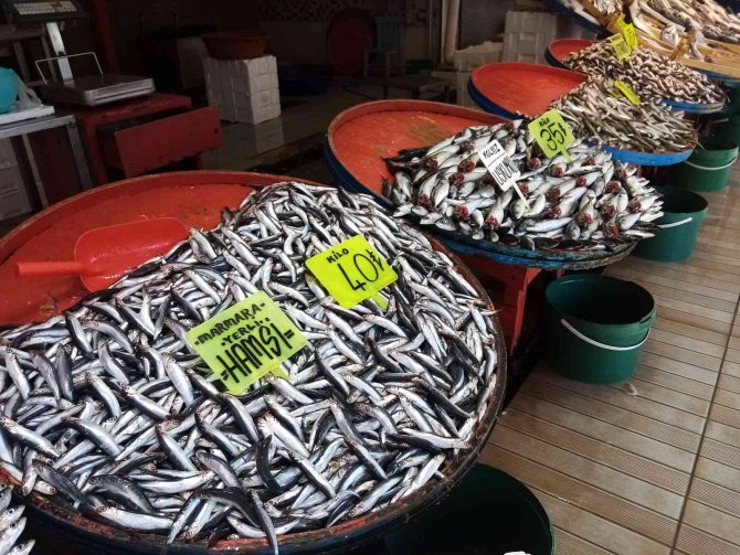 Bandırma Balık Halinde Ramazan Bereketi