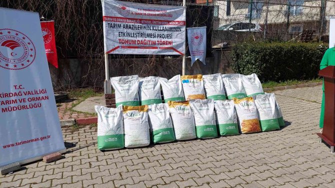 Ayçiçeği İthalatına Karşı Yerli Tohum Atağı: Devletten Üreticiye 2 Buçuk Ton Hibrit Tohum