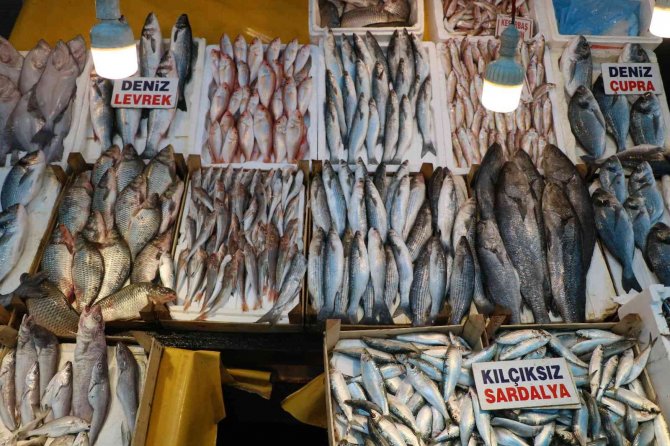 Çiftlik Balığı Fiyatları Deniz Balıklarını Geçti