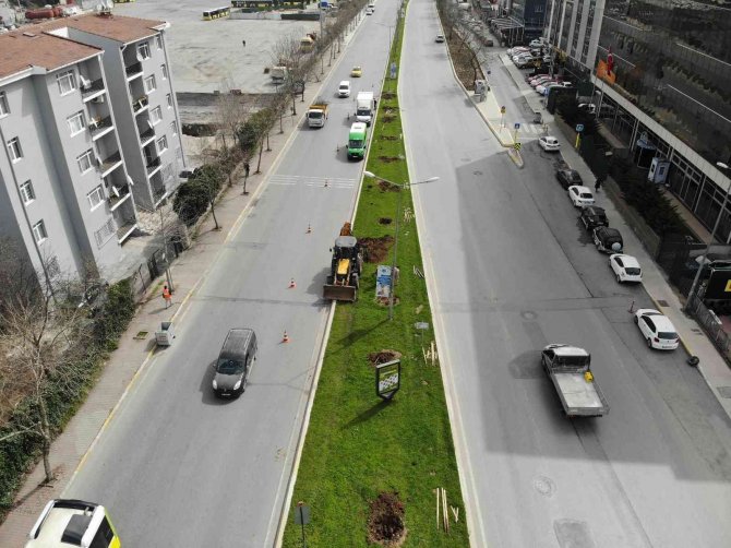Ataşehir’de İ̇bb Ekipleri Tarafından Ağaçlar İş Makineleriyle Güpegündüz Söküldü