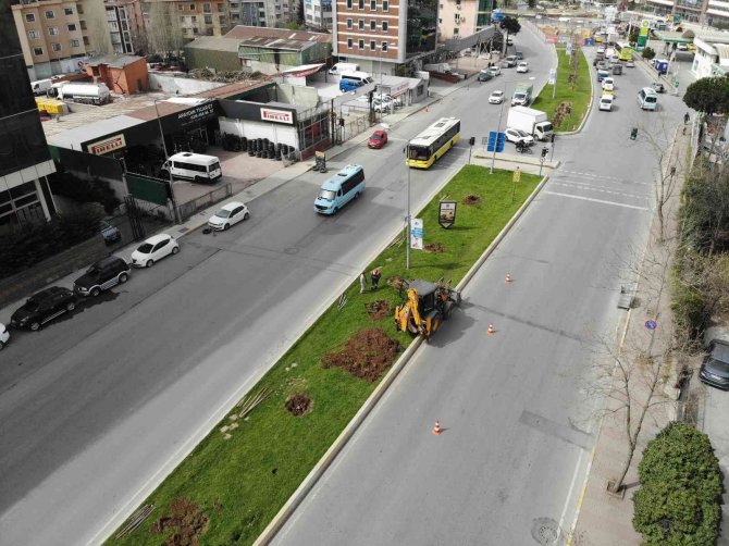 Ataşehir’de İ̇bb Ekipleri Tarafından Ağaçlar İş Makineleriyle Güpegündüz Söküldü