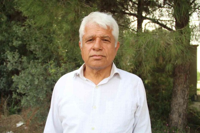 Antalya’da Yunus Sürüsü Tekneye Eşlik Etti