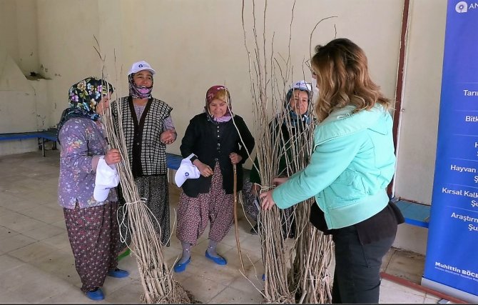 Büyükşehir’den İpekböceği Yetiştiricilerine Destek