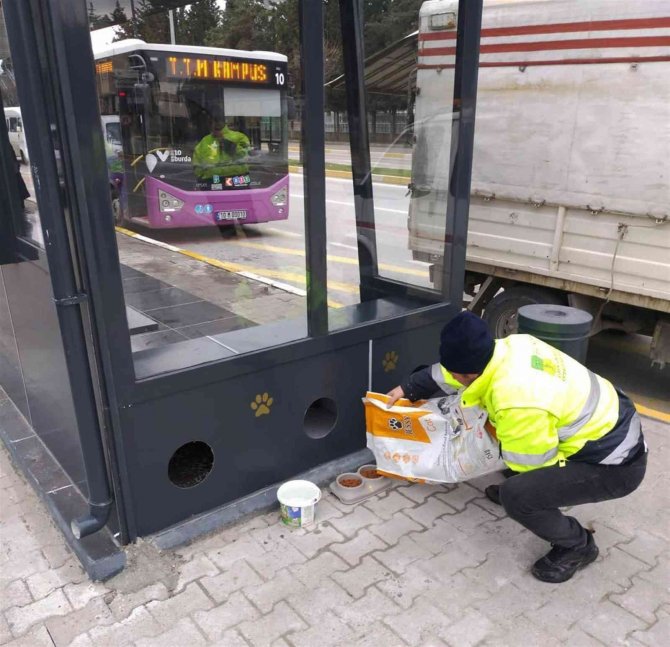 Balıkesir’de Otobüs Durakları Kütüphaneye Dönüşüyor