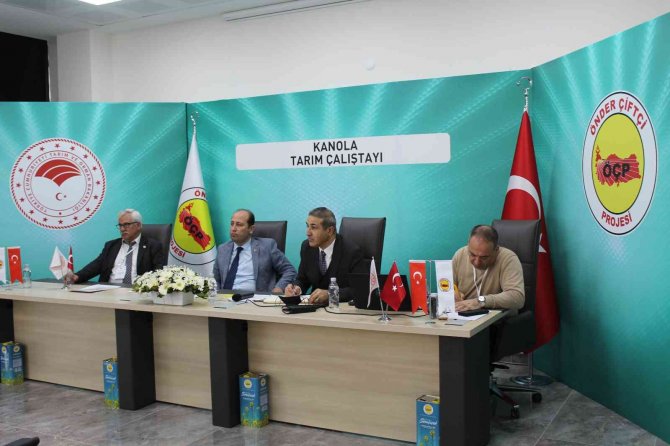 Ülkedeki Yağ Açığının Giderilmesi İçin Kanola Üzerine Tartışılıyor: Dayanıklılık Ve Daha Fazla Yağ