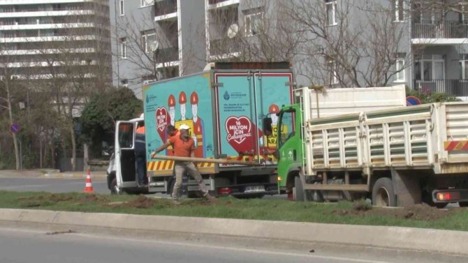 Ataşehir’de İ̇bb Ekipleri Tarafından Ağaçlar İş Makineleriyle Güpegündüz Söküldü