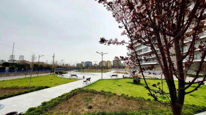 Bayraklı’nın Yeşil Alan Oranı Artıyor