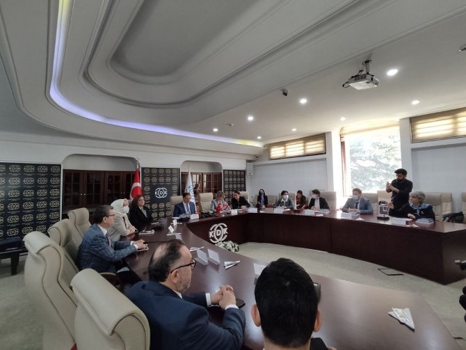 Türkiye İle Gürcistan Ombudsmanlık Kurumları İş Birliği Yaptı