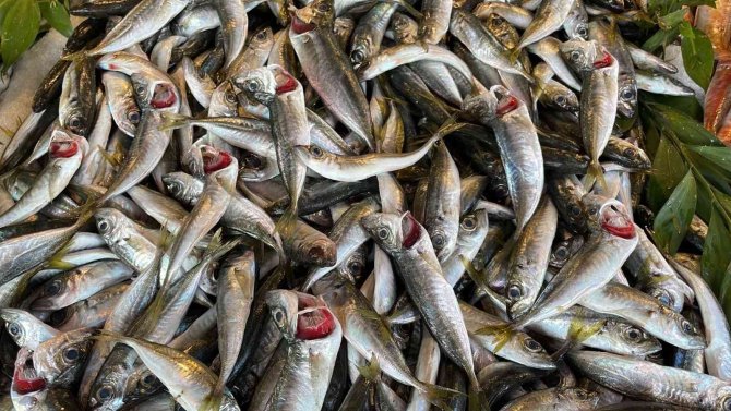 Karadeniz’deki Serseri Mayınlar Tezgaha Da Yansıdı