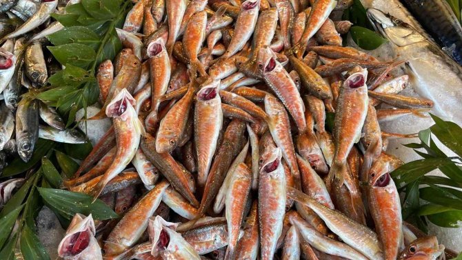 Karadeniz’deki Serseri Mayınlar Tezgaha Da Yansıdı