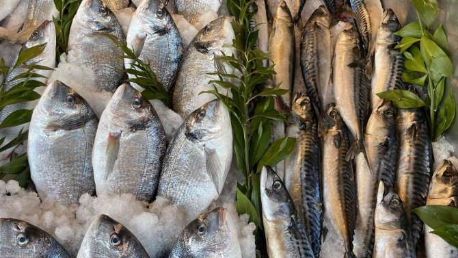 Karadeniz’deki Serseri Mayınlar Tezgaha Da Yansıdı