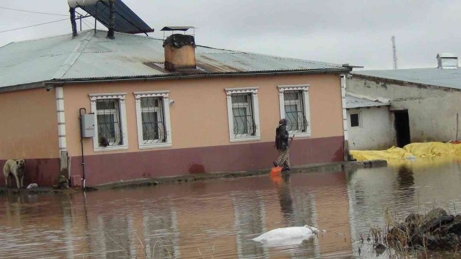 Taşan Kars Çayı Tarım Arazilerini Sular Altında Bıraktı