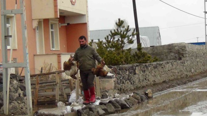 Taşan Kars Çayı Tarım Arazilerini Sular Altında Bıraktı