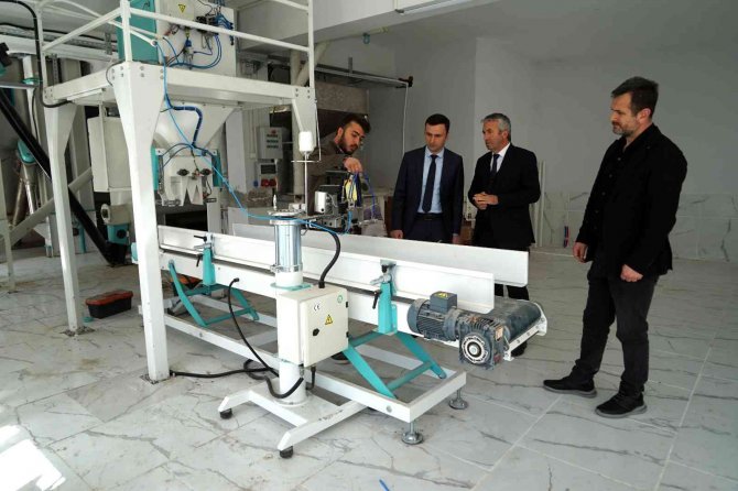 Geçmişi 10 Bin Yıl Öncesine Dayanan Siyez Buğdayı, Kadınların Elinde Yeniden Hayat Buldu