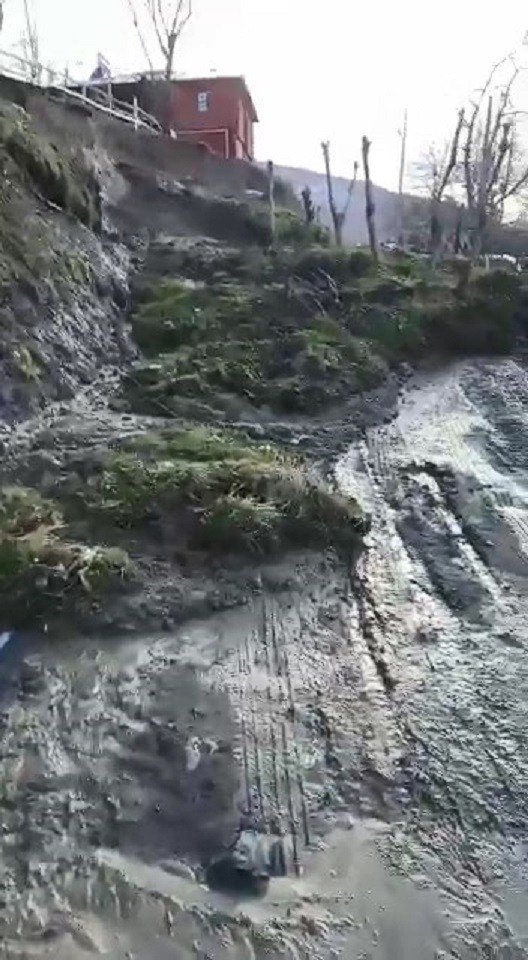 Kastamonu’da Heyelan: Ağaçlar Bile Sürüklendi