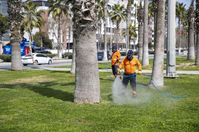 Mersin’de İlaçlama Çalışmaları Hız Kazandı