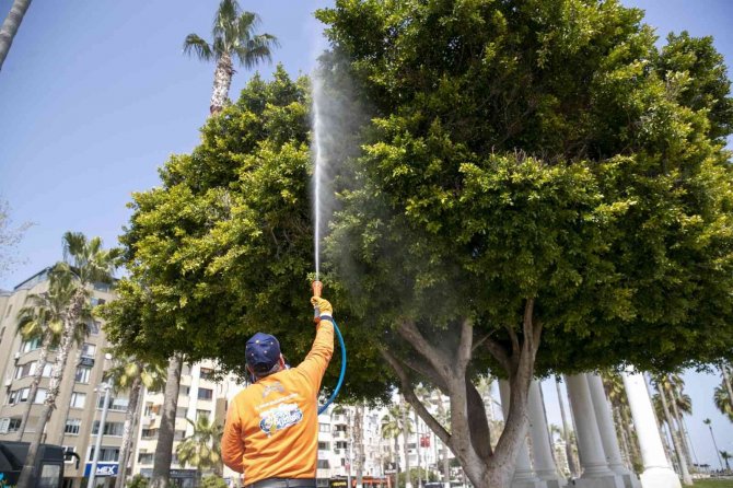 Mersin’de İlaçlama Çalışmaları Hız Kazandı
