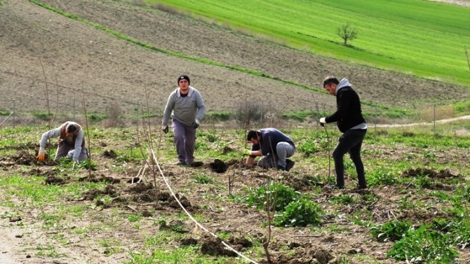 Nilüfer’de Ekoçiftlik Meyve Fidanlarıyla Donatıldı