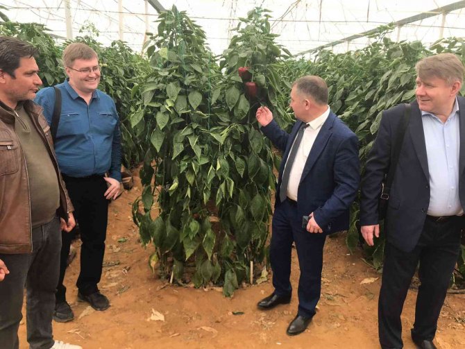 Rusya’nın Türkiye’ye Uyguladığı Yasakları Kaldırma Girişimleri İhracatçıları Heyecanlandırdı