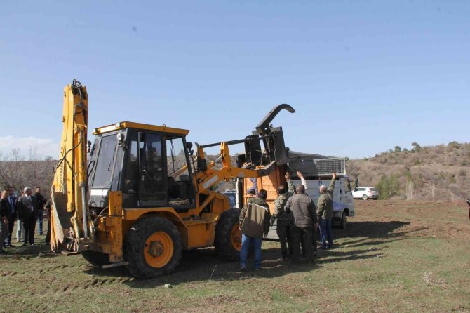Çorum’da 5 Kızılgeyik Doğaya Salındı