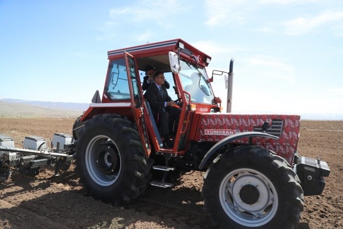 Tokat’ta, 700 Çiftçiye Yüzde 50 Hibeli Ayçiçeği Tohumu Dağıtıldı