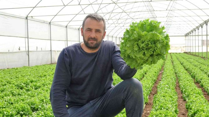 Tokat’ta Marul Serada 8 Lira, Markette 15 Lira