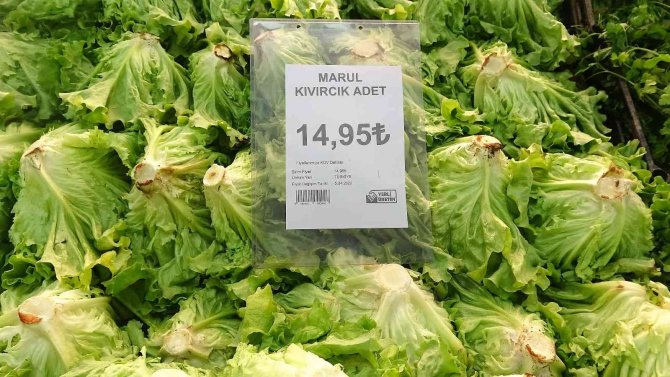 Tokat’ta Marul Serada 8 Lira, Markette 15 Lira