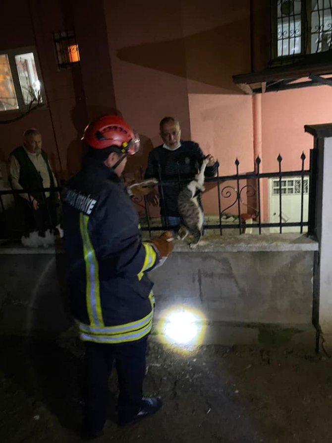 Çiftlikköy’de Kedi Kurtarma Operasyonu