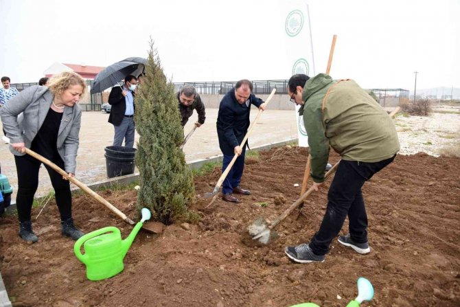 Tedavileri Tamamlanan Şahinler Doğaya Salındı