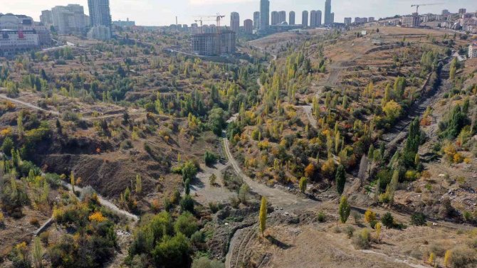 Metin Akkuş Mahallesi’ndeki Atıkla Mücadele Tamamlandı