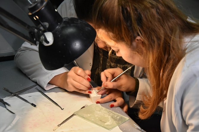 Depad’dan Omü Diş Hekimliği Fakültesi’ne Tam Akreditasyon