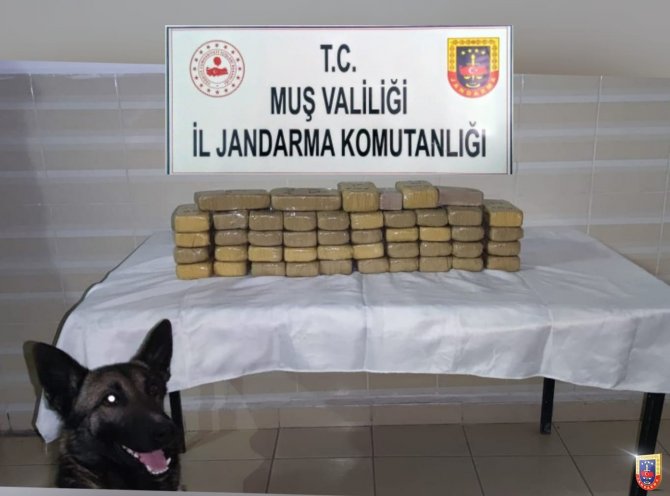 Jandarma’dan Diyarbakır’da Uyuşturucu Operasyonu
