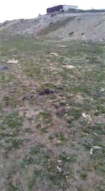 Boş Araziye Atılan Koyun Derileri Ve Telef Olan Eşek Çevre Kirliliği Oluşturdu