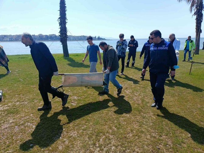 Kocaeli’de Ölü Yunus Sahile Vurdu