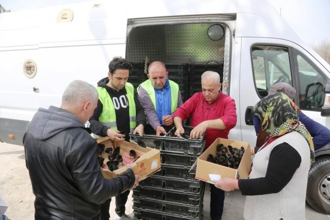 Ereğli Belediyesinden Üretime Destek