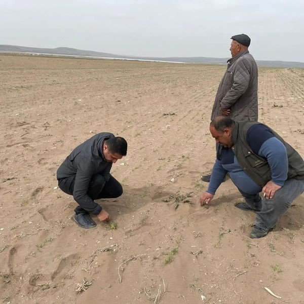 Kulu’da Kum Fırtınası Ekili Alanlara Zarar Verdi