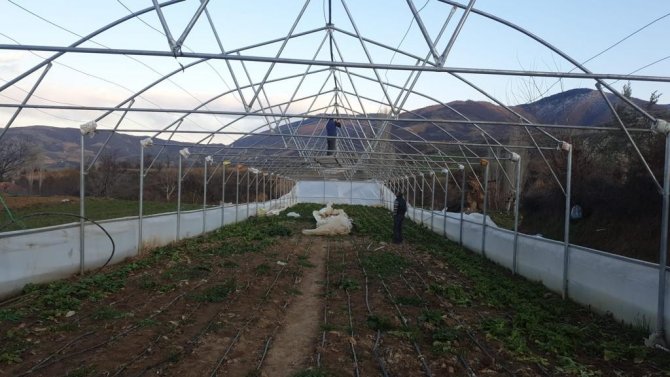 Şiddetli Fırtınada Zarar Gören Seralar Bakıma Alındı