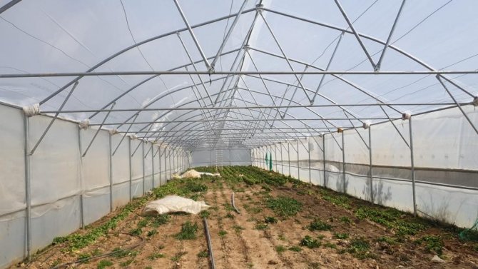 Şiddetli Fırtınada Zarar Gören Seralar Bakıma Alındı