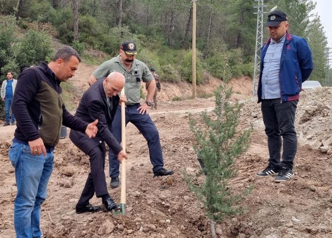 Polis Hatıra Ormanı’nda 177 Fidan Toprakla Buluşturuldu