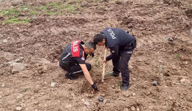 Polis Hatıra Ormanı’nda 177 Fidan Toprakla Buluşturuldu